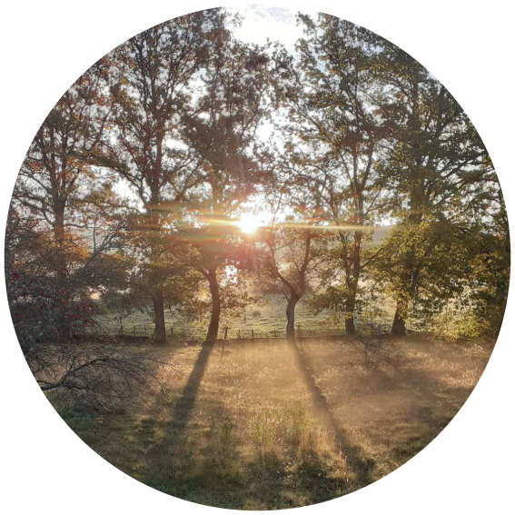 olgaia-vosges-lieu-retraites-evenements